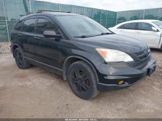 HONDA HONDA CR-V EX