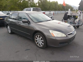 HONDA HONDA ACCORD 3.0 EX