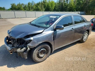 TOYOTA COROLLA L