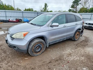 HONDA CR-V EXL