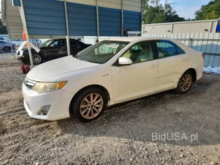 TOYOTA CAMRY HYBRID XLE