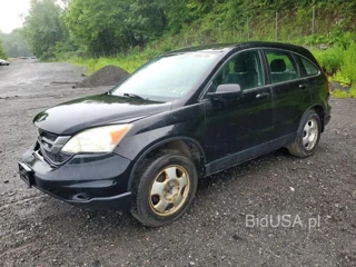 HONDA CR-V LX