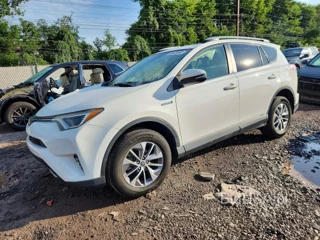 TOYOTA RAV4 HYBRID XLE
