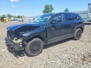 MAZDA CX-50 PREFERRED