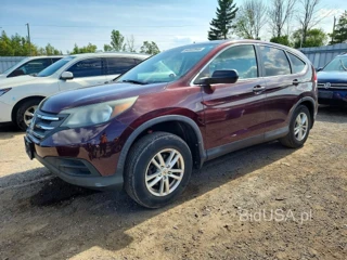 HONDA CR-V LX