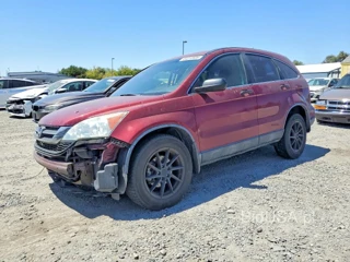 HONDA CR-V LX