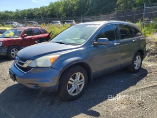 HONDA CR-V EXL