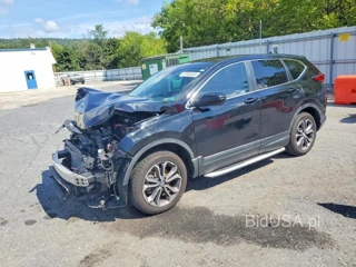 HONDA CR-V EX