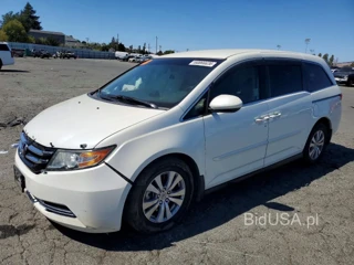 HONDA ODYSSEY EX