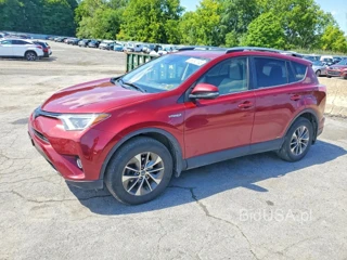 TOYOTA RAV4 HYBRID XLE