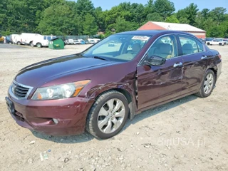 HONDA ACCORD EXL