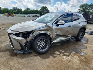 LEXUS NX 350 PREMIUM