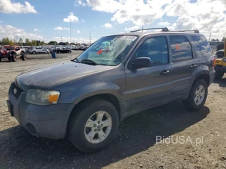 FORD ESCAPE XLT