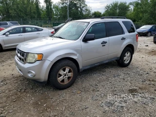 FORD ESCAPE XLT