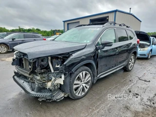 SUBARU ASCENT LIMITED