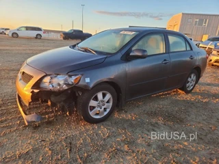 TOYOTA COROLLA BASE