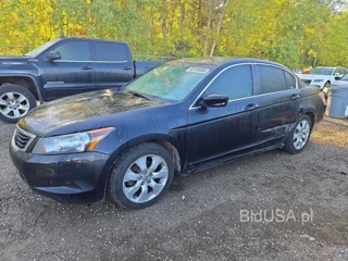 HONDA ACCORD EXL