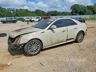 CADILLAC CTS PERFORMANCE COLLECTION
