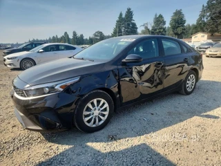 KIA FORTE FE