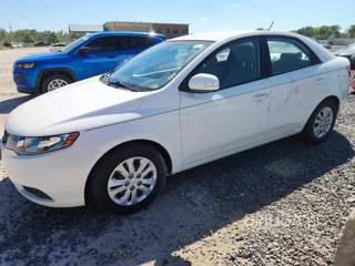KIA FORTE EX