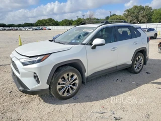 TOYOTA RAV4 XLE PREMIUM