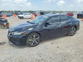 NISSAN MAXIMA SV