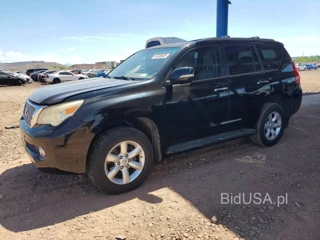 LEXUS GX 460