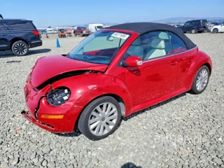VOLKSWAGEN NEW BEETLE