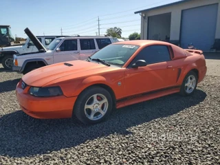 FORD MUSTANG