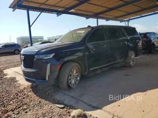 CADILLAC ESCALADE ESV LUXURY