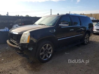 CADILLAC ESCALADE ESV LUXURY