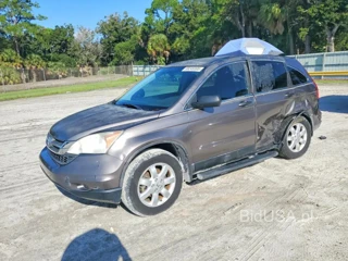HONDA CR-V SE