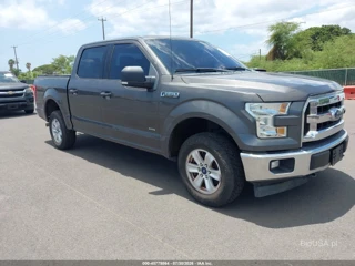 FORD FORD F-150 XLT