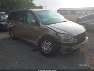 HONDA HONDA ODYSSEY EX-L