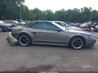FORD FORD MUSTANG