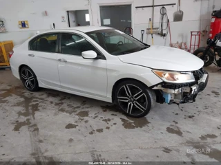 HONDA HONDA ACCORD SPORT