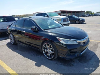 HONDA HONDA ACCORD TOURING