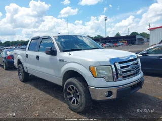 FORD FORD F-150 FX4/HARLEY-DAVIDSON/KING RANCH/LARIAT/PLATINUM/XL/XLT