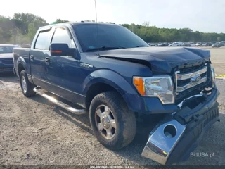 FORD FORD F-150 XLT