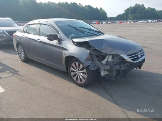 HONDA HONDA ACCORD EX-L