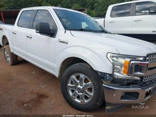 FORD FORD F-150 XLT