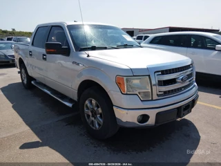FORD FORD F-150 XLT