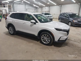 HONDA HONDA CR-V EX AWD