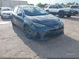 TOYOTA TOYOTA COROLLA SE