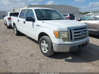 FORD FORD F-150 FX2 SPORT/XL/XLT