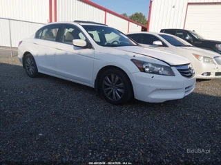 HONDA HONDA ACCORD 2.4 EX-L