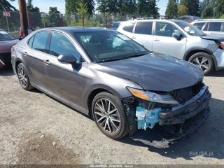 TOYOTA TOYOTA CAMRY XLE