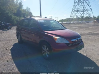HONDA HONDA CR-V EX
