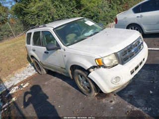 FORD FORD ESCAPE XLT