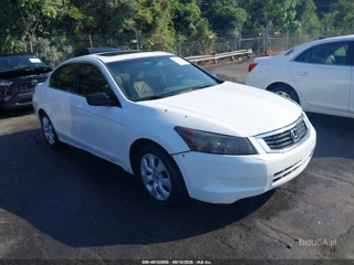 HONDA HONDA ACCORD 2.4 EX-L
